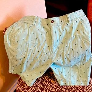 Plug men’s shorts, size 38! Flamingos on the shorts! Great for summer/vacation!